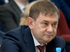 После ухода Нетёсова началось обновление Воронежской облдумы