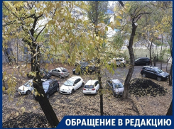 Отрицалы платных парковок захватили сквер в центре Воронежа 