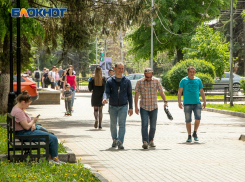 Ветер и прохладу обещают синоптики в начале рабочей недели в Воронежской области
