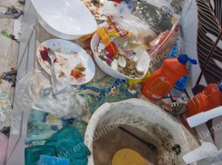 Адский свинарник оставила после себя зумерша-квартирантка в Воронеже 