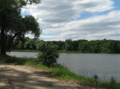 В Воронежской области из реки Хопер вытащили утопленника