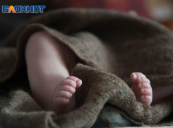 Мигранты не смогли «прикрыть» рекордную убыль населения Воронежской области