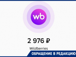 О незаконном списании денег от Wildberries заявила жительница Воронежа