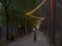 Необычную «елочку» поставили летом в Воронеже