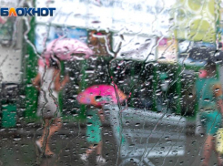 Дождь и +22 градуса ожидают воронежцев на рабочей неделе