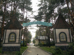 Открытый бассейн и амфитеатр: какой будет прибрежная часть воронежского «Дельфина» 