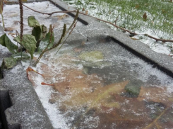 О продолжении заморозков рассказали спасатели в Воронежской области