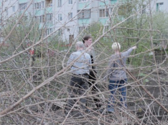 Под Воронежем при попустительстве властей строители захватили сады и огороды пенсионеров