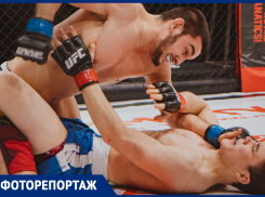 В преддверии 23 февраля в Воронеже состоялся бойцовский вечер