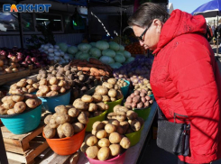 В июне размер инфляции в России оказался меньше, чем в Воронежской области