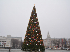 Тест для глав: в каком районе Воронежа самая шикарная елка 