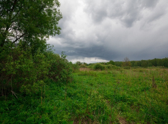 Такого не было больше 20 лет: Воронежский заповедник раскрыл рекорды июля
