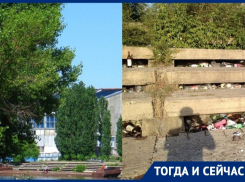 В какой гадюшник превратилось живописное место на левом берегу Воронежа
