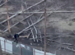 “Поджег и убегает”: неизвестный пытался спалить Северный лес в Воронеже