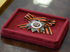 Орден героя войны Сергея Зеленского чудом нашли и вернули родственникам под Воронежем