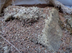 Под Воронежем бульдозеры уничтожили 68 тонн плесневелой гречки