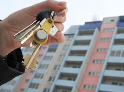 Главарем черных риэлторов в Воронеже оказалась 34-летняя юрист
