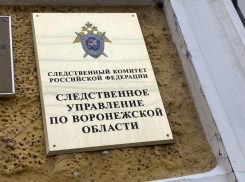 Уголовное дело возбудили после скандальной истории с рукоприкладством в воронежском кадетском корпусе  