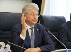 Ответственный гражданин объяснил, почему горДума Ходырева не нужна Воронежу