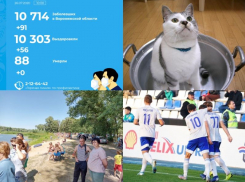 Коронавирус в Воронеже 26 июля: +91 зараженный, санитарные сложности и старт игр «Факела»