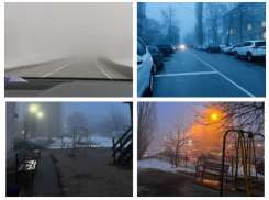 Как воронежцы преодолевали утренний путь через туман