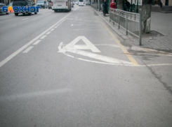 Стало лучше или хуже: мнения о выделенных полосах высказали социологам воронежцы