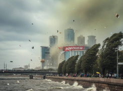 Более 40 заявок на поваленные деревья: мэрия Воронежа сообщила о последствиях шторма