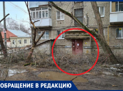 В Воронеже вход в подъезд завалили ветками