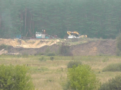 Как под Воронежем уничтожили успешное хозяйство, снабжающее овощами половину областного центра