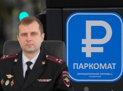 Опубликовано доказательство отсутствия штрафов за платную парковку в Воронеже