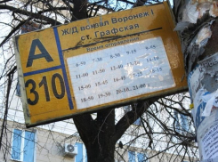 От мэра Вадима Кстенина воронежцы потребовали точного расписания транспорта