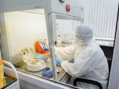 148 воронежцев стали носителями коронавируса