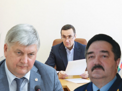 Хамин потребовал от губернатора Гусева и прокурора Савруна проверить все торговые центры в Воронеже