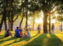 24-градусная жара ждет воронежцев на длинных выходных 