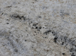 В Воронеже подрядчик пытался исправить собственные провалы асфальтом в снег