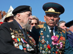 В Воронежской области ветеранам выделили 254 миллиона рублей