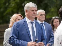 «Есть ли профессии важнее вашей»: губернатор Гусев поздравил воронежских медиков