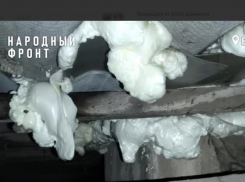 “Все обвалилось”: в затапливаемой развалюхе живут семьи бойцов СВО в Воронежской области