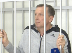 Пономарёва отпускают домой в Хохол, но его дело в Воронеже доведут до конца 