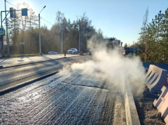 Полсотни деревьев вырубили ради проезда от Остужевской развязки в Воронеже