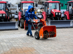 В Воронеже власти начали искать будущих борцов со снегом