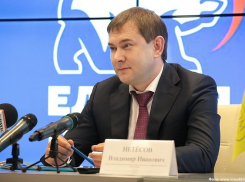 Спикер Воронежской облдумы скакнул в доходах