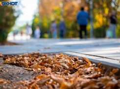Ночное похолодание подступается к жителям Воронежской области