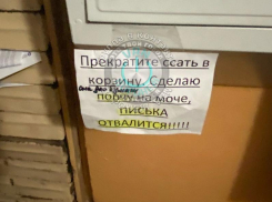 Порчей на моче пригрозили воронежцам