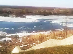 На видео попал ледоход по реке Дон в Воронежской области