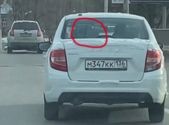 Передвижные штраф-машины заметили в Воронеже