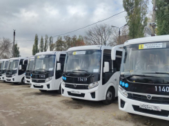 Стало известно количество новых автобусов, которые поступят на маршрут 1КВ в Воронеже