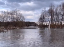 В Воронежской области школьников отправили на дистанционное обучение из-за сильного половодья