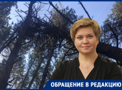 Скандальную историю с травмой в Северном лесу завели в бюрократический тупик