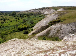 Тревогу из-за создания заповедной зоны выразили жители Воронежской области